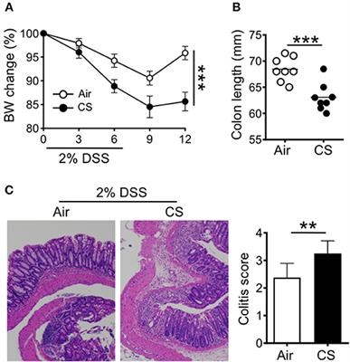 Cigarette Smoke Induces Intestinal Frontiers | Cigarette Smoke Induction